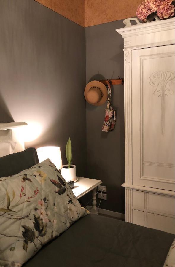 Cosy Country Stay B&B 마타마타 외부 사진