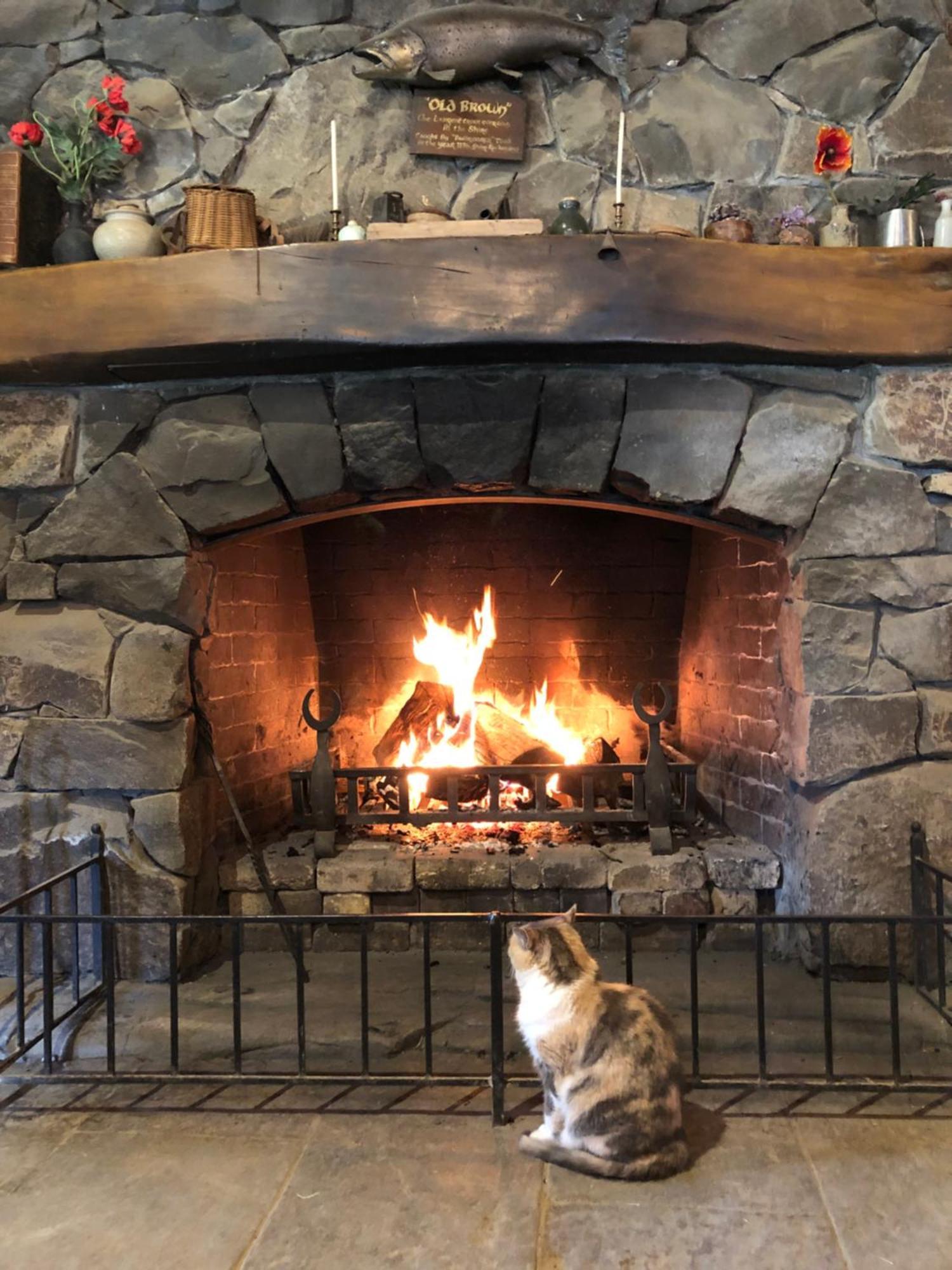 Cosy Country Stay B&B 마타마타 외부 사진